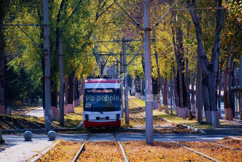 吉林长春：绝美有轨电车公交线秋季景观宛如童话世界-人民图片网