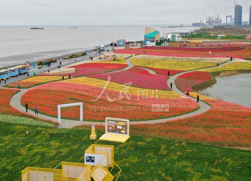 2021年3月20日,位于江苏启东圆陀角旅游度假区海边的一片郁金香花海