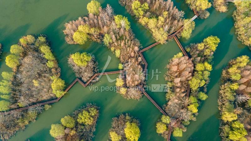 江苏徐州：湿地春景美如画-人民图片网