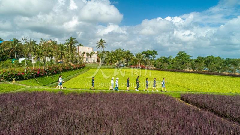 海南博鳌留客村:处处皆美景 无处不留客