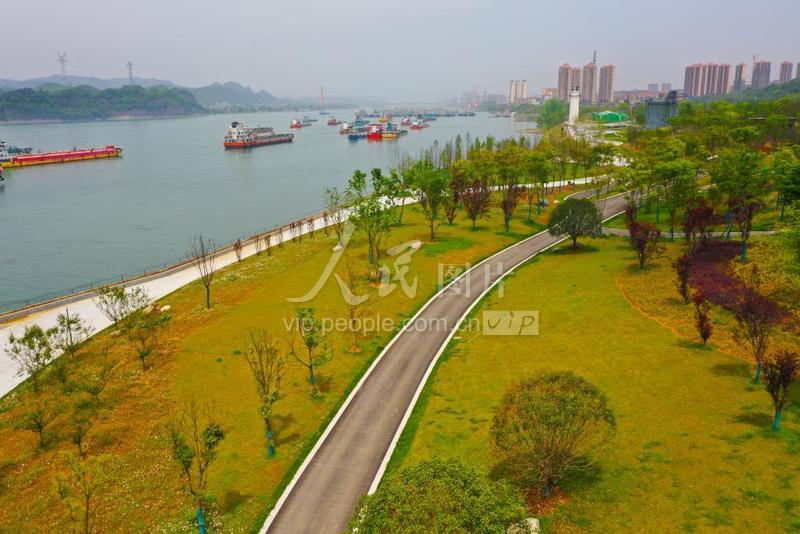 湖北宜昌：长江岸线修复突破一百公里人民图片网