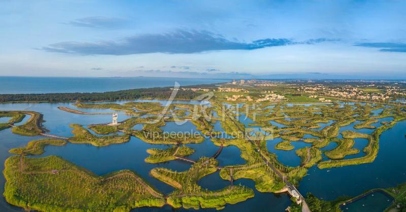 海口：江东湿地景色如画-人民图片网
