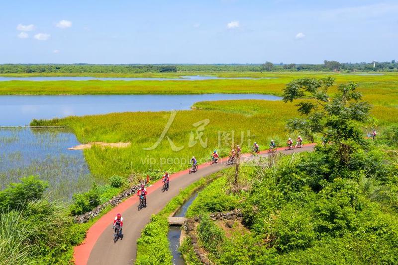 海口：湿地美景迎客来-人民图片网