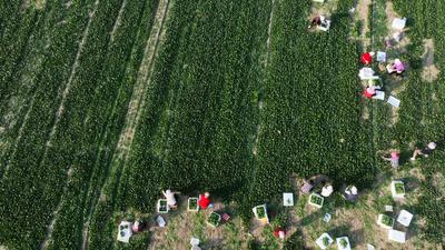 多宝体育- 多宝体育官方网站- 多宝体育APP下载 DUOBAO SPORTS上班族必看!20分钟搞定营养晚餐排骨焖饭配凉拌菠菜