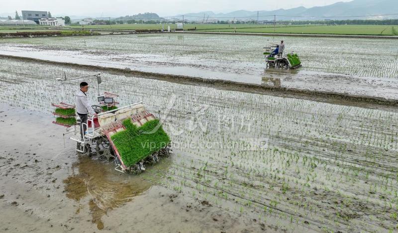 浙江宁波:农机成为春耕主角-人民图片网