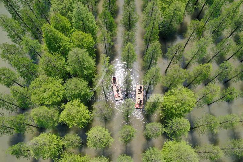 江苏泗洪:生态湿地景色宜人-人民图片网
