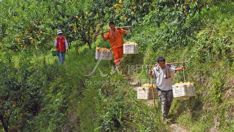 d187bb8c2abb48b78ee45fd547e62cdc5y4d_m.j