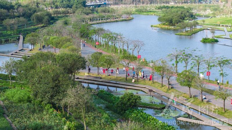 海南海口：湿地公园风景宜人-人民图片网