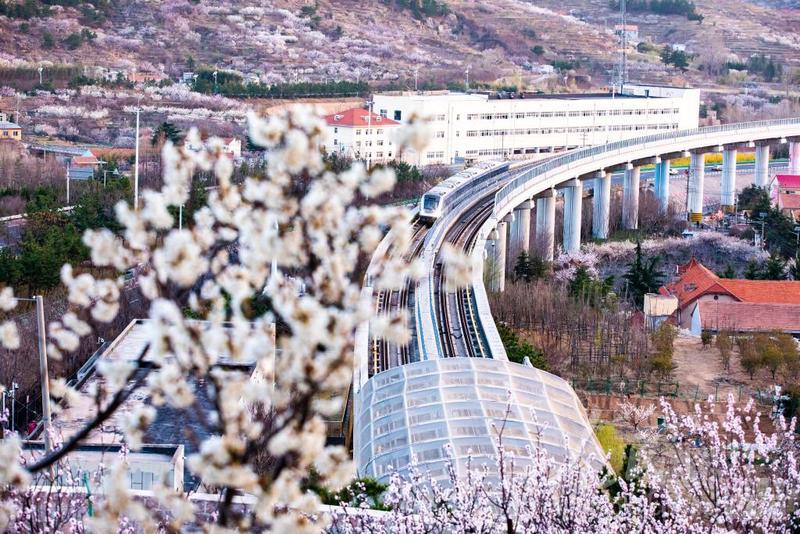 杨瀚森命中NBA生涯首记三分开启中国球员新篇章