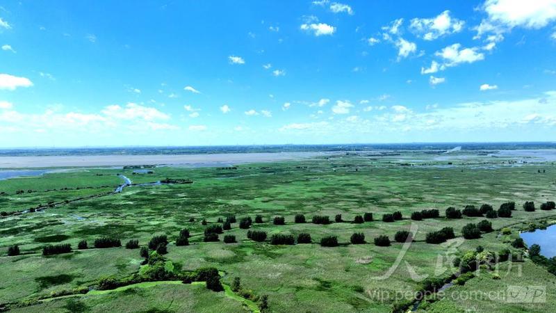 江苏泗洪:洪泽湖湿地风光美-人民图片网