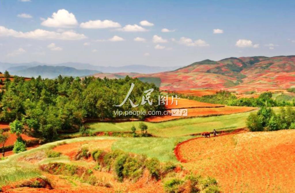 云南东川红土地色彩斑斓-人民图片网