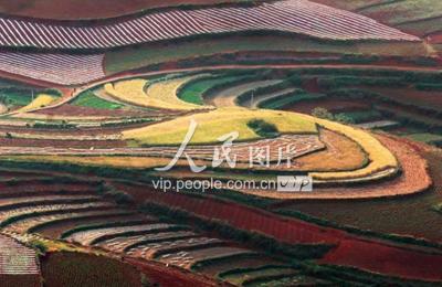 云南东川红土地色彩斑斓-人民图片网