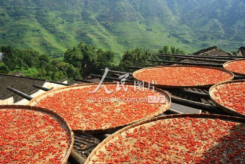 江西婺源:篁岭晒秋-人民图片网