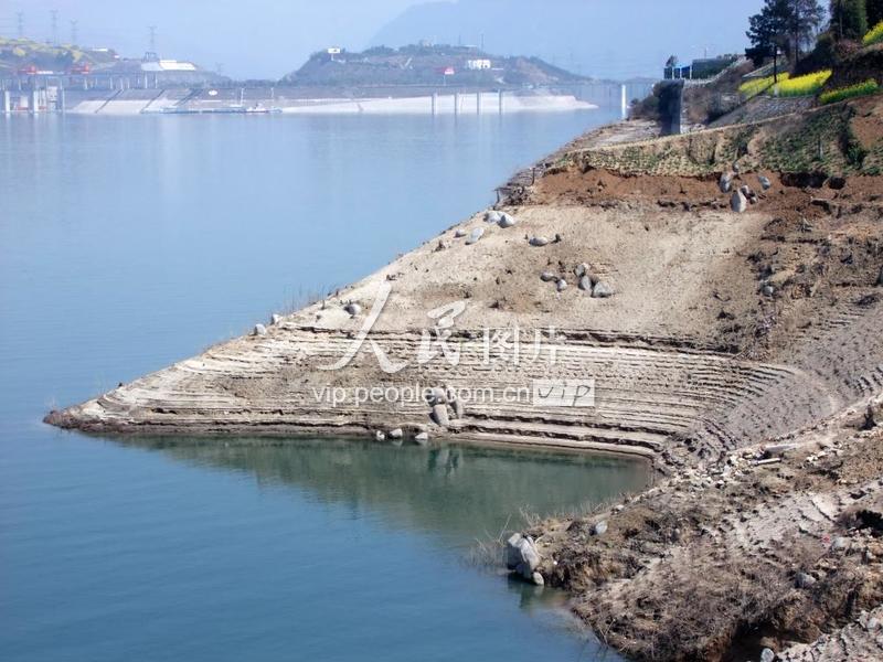三峡水位回落到156米水位 出现消落带-人民图片网