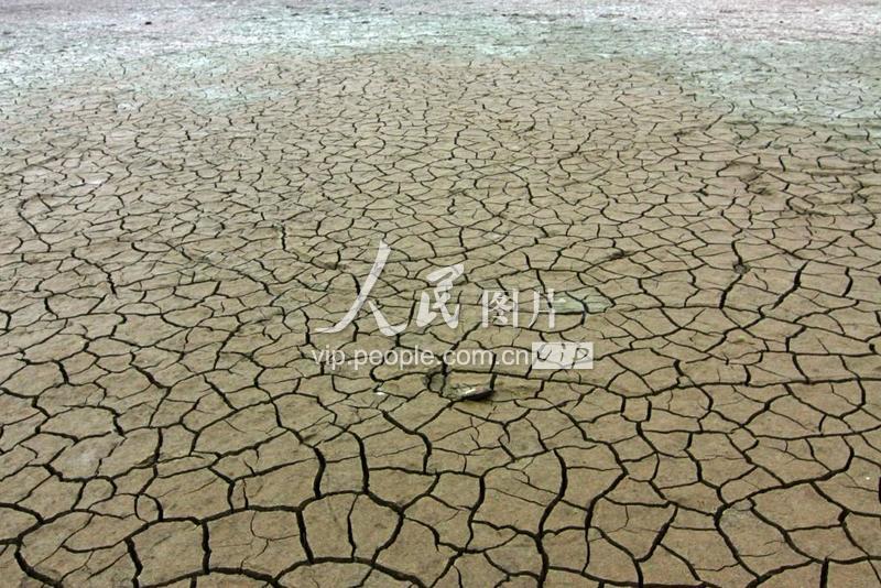 湖北襄阳:鄂西北旱灾继续-人民图片网