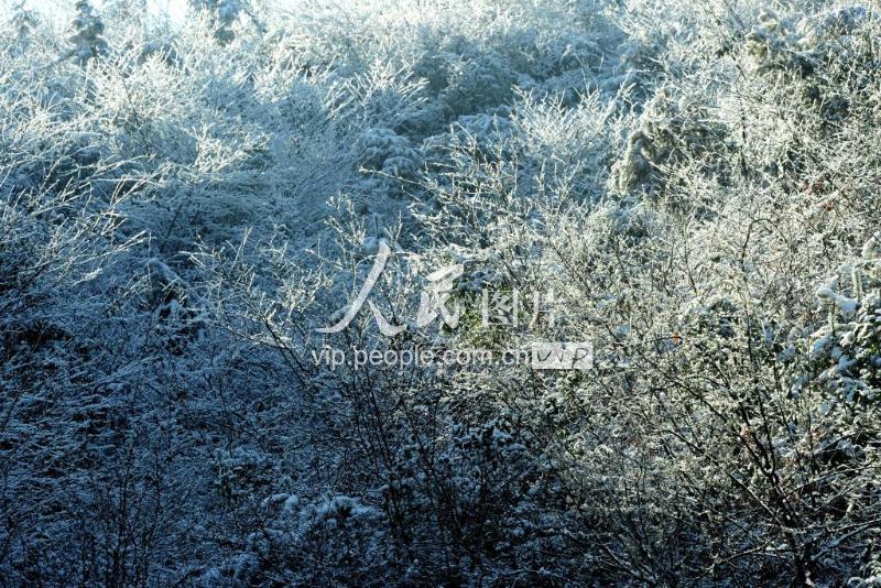 武义:天寒地冻 冰棱成景-人民图片网