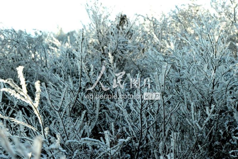 武义:天寒地冻 冰棱成景-人民图片网