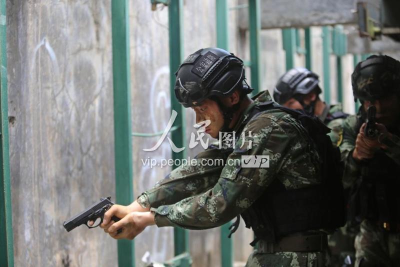 南粤特战尖兵三伏天里丛林砺兵淬火-人民图片网