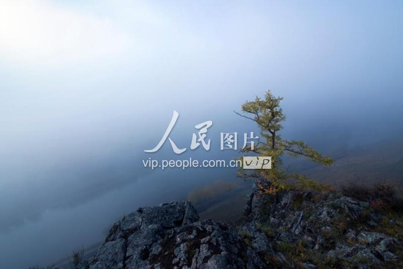 内蒙古:大兴安岭原始森林的冷极湾-人民图片网