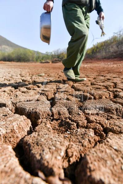 安徽巢湖遭遇大旱河床干了个底朝天