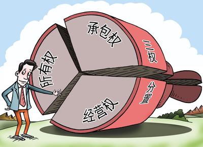 漫画三权分置