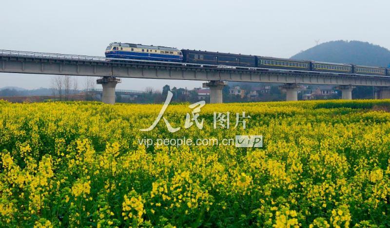 安徽庐江庐铜铁路首趟客运列车开通