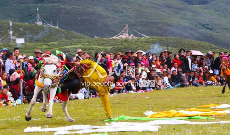 四川巴塘骑手雪山下策马扬鞭展传统赛马技艺