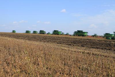 黑龙江北大荒金秋进行时抢收中国粮