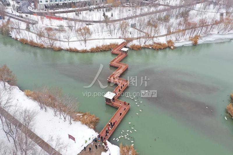新疆博乐:滨河景区雪后景色尽美-人民图片网