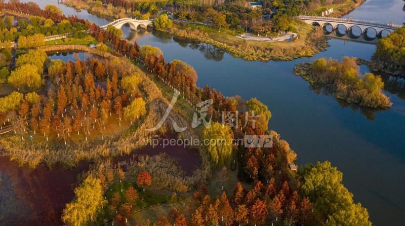 江苏海安：昔日垃圾填埋场 如今斑斓生态园-人民图片网