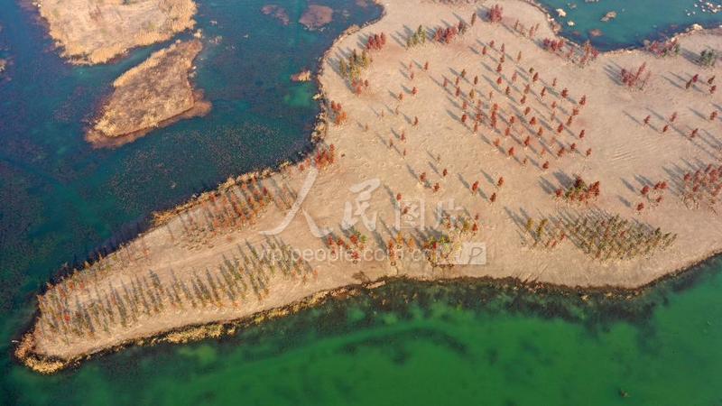 江苏邗江：北湖湿地公园生态美如画-人民图片网