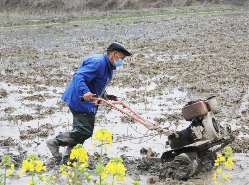 四川达州:花香伴春耕-人民图片网