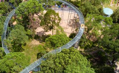 江西新余森林水滑道避暑享清凉