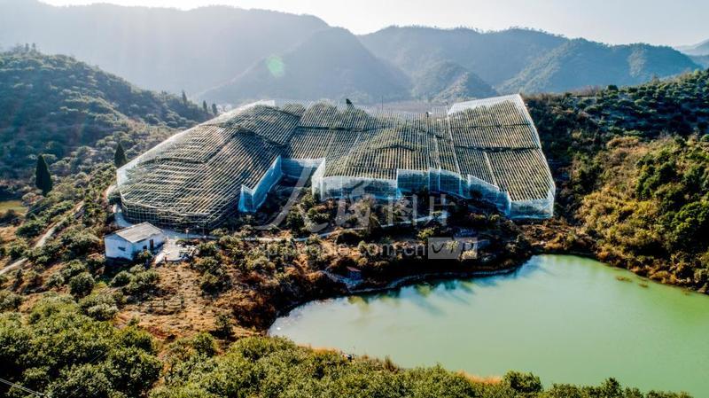 浙江仙居:大棚杨梅 助农增收-人民图片网