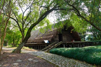 浙江宁波余姚河姆渡遗址入选全国百年百大考古发现