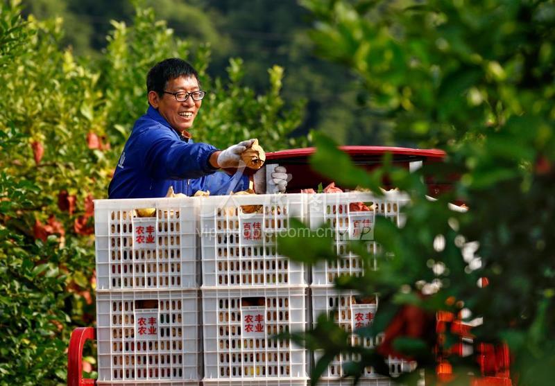 四川广安农民工返乡创业乡村振兴新动能