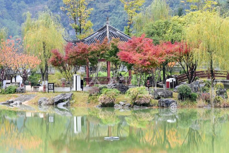 贵州仁怀:生态公园 秋景如画-人民图片网