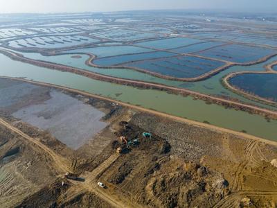 安徽肥东:十八联圩湿地建设忙-人民图片网