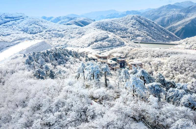 浙江安吉:雾凇雪景美如画-人民图片网