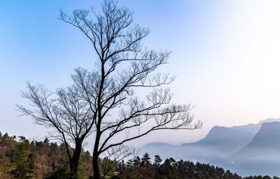 重庆南川金佛山冬日风景画