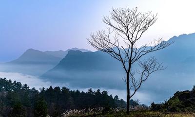 重庆南川金佛山冬日风景画