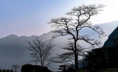 重庆南川金佛山冬日风景画
