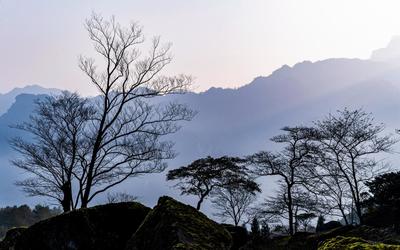 重庆南川金佛山冬日风景画