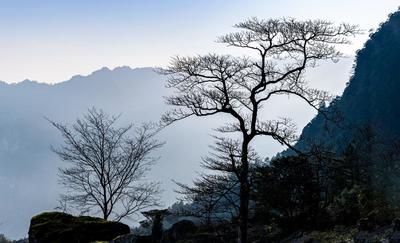 重庆南川金佛山冬日风景画