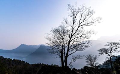 重庆南川金佛山冬日风景画