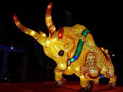 内蒙古赤峰牛年灯饰迎新春