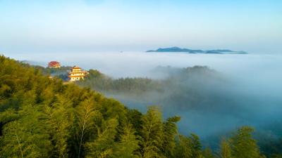 2021年2月2日清晨,湖南省桃江县桃花江竹海出现了浓雾,置身竹海,云雾