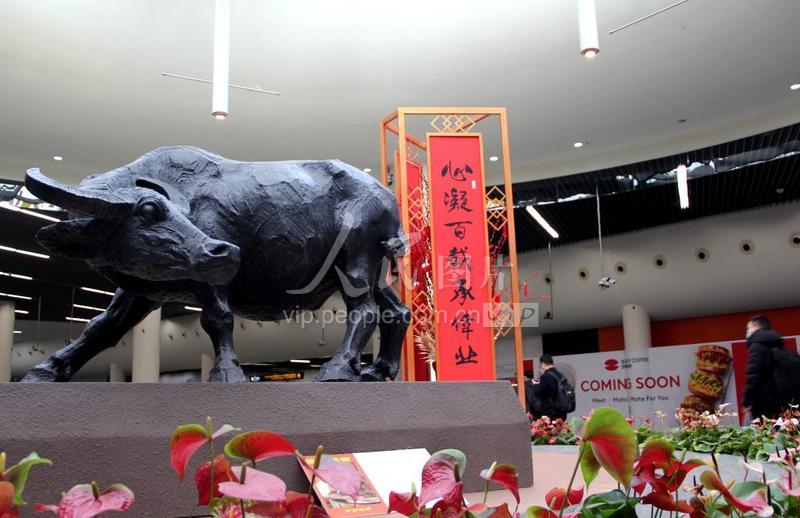 上海:金牛迎春 牛劲十足
