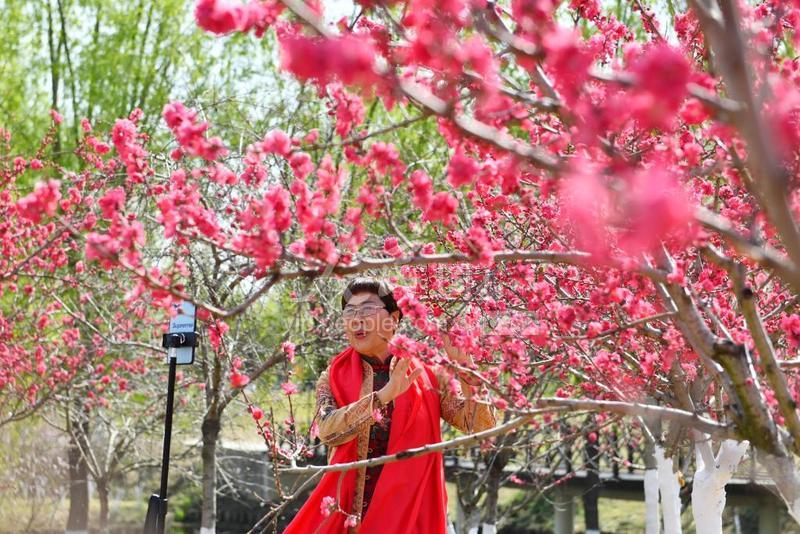 河南夏邑：“桃花岛”桃花开游人织-人民图片网
