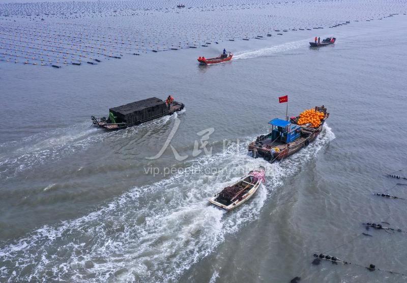 山东荣成:春季海上生产忙-人民图片网
